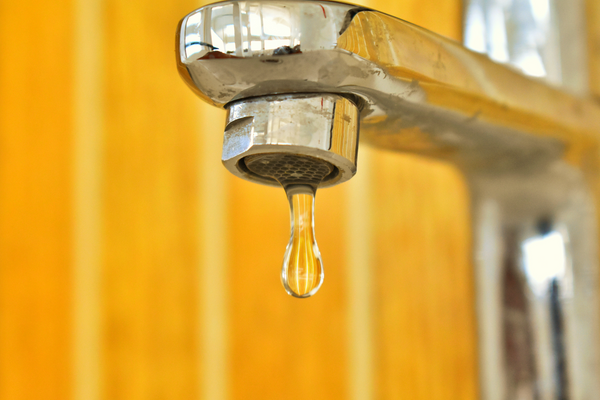 Say Thank You to Your Pelvic Floor and Stop Leaking Pee